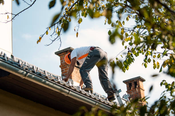 Best Roof Waterproofing Services  in Woodville, AL