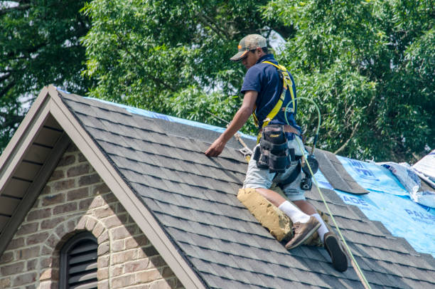 Best Roof Replacement Cost  in Woodville, AL