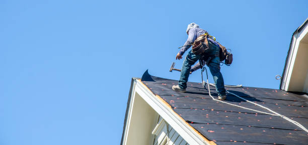 Best Gutter Installation and Roofing  in Woodville, AL
